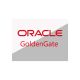Oracle GoldenGate - Named User Plus Perpetual